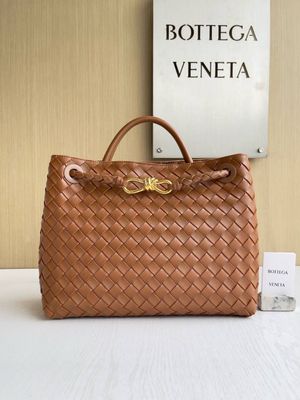 Bottega Veneta Andiamo Model