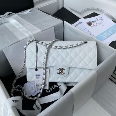 Chanel Classic Handbag 2.55
