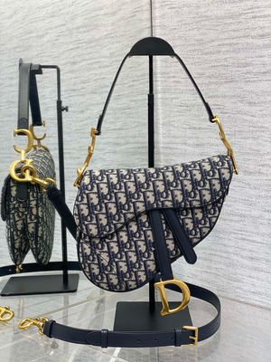 Christian Dior Saddle