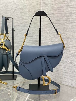 Christian Dior Saddle