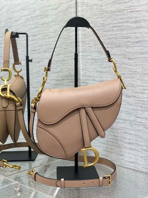 Christian Dior Saddle