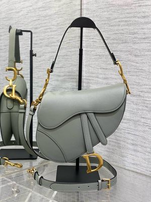 Christian Dior Saddle