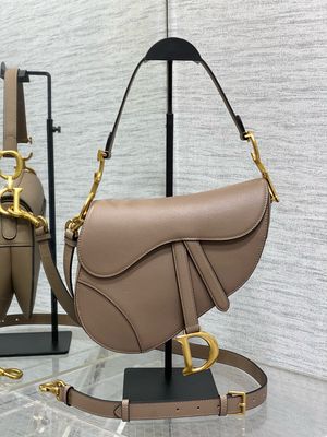 Christian Dior Saddle