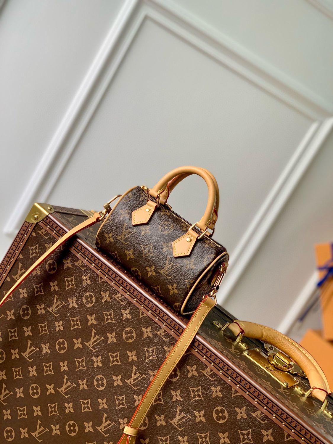 Louis Vuitton Nano Speedy