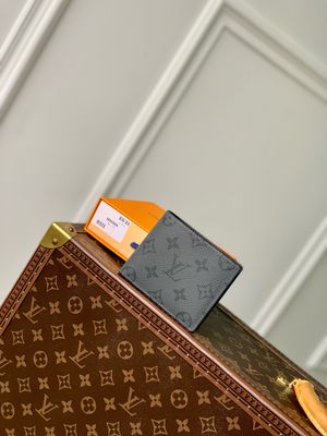 Louis Vuitton Multiple Wallet