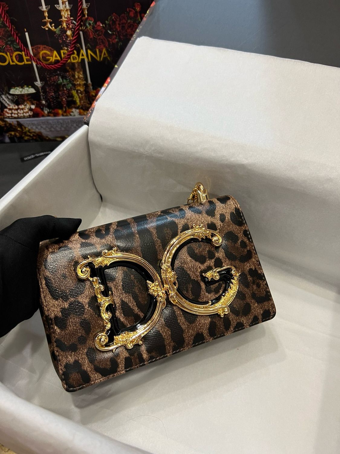 Dolce Gabbana Dg Girls