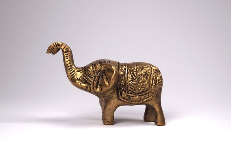 Elefant Messing