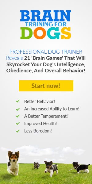 Brain Training for Dogs - Unique Dog Training Course!