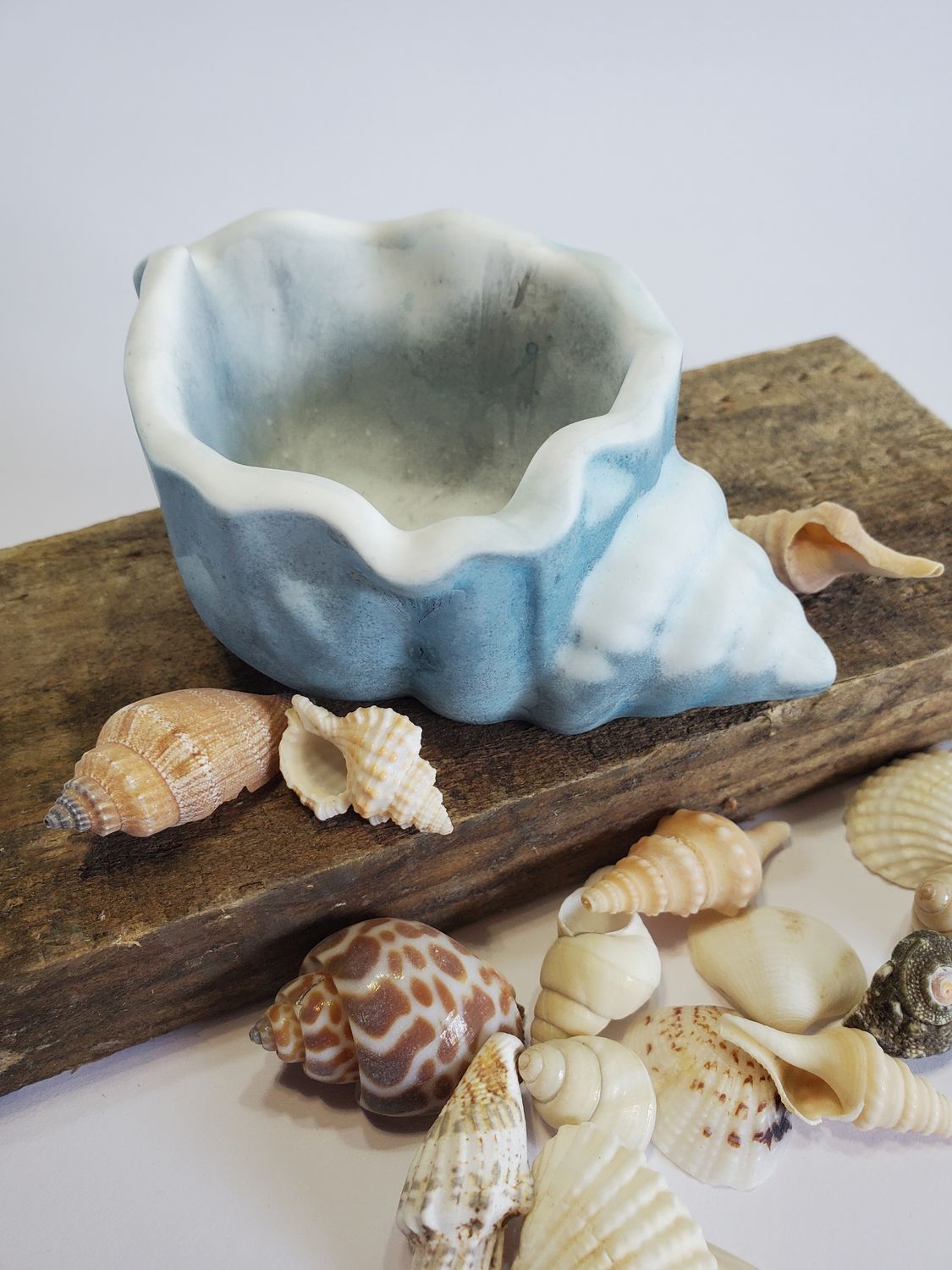 Shell,  small    - Blue wash
