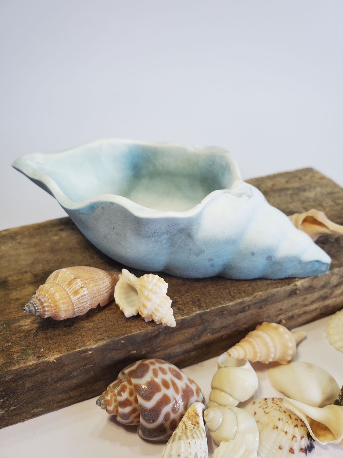 Shell,  Medium  - Blue wash