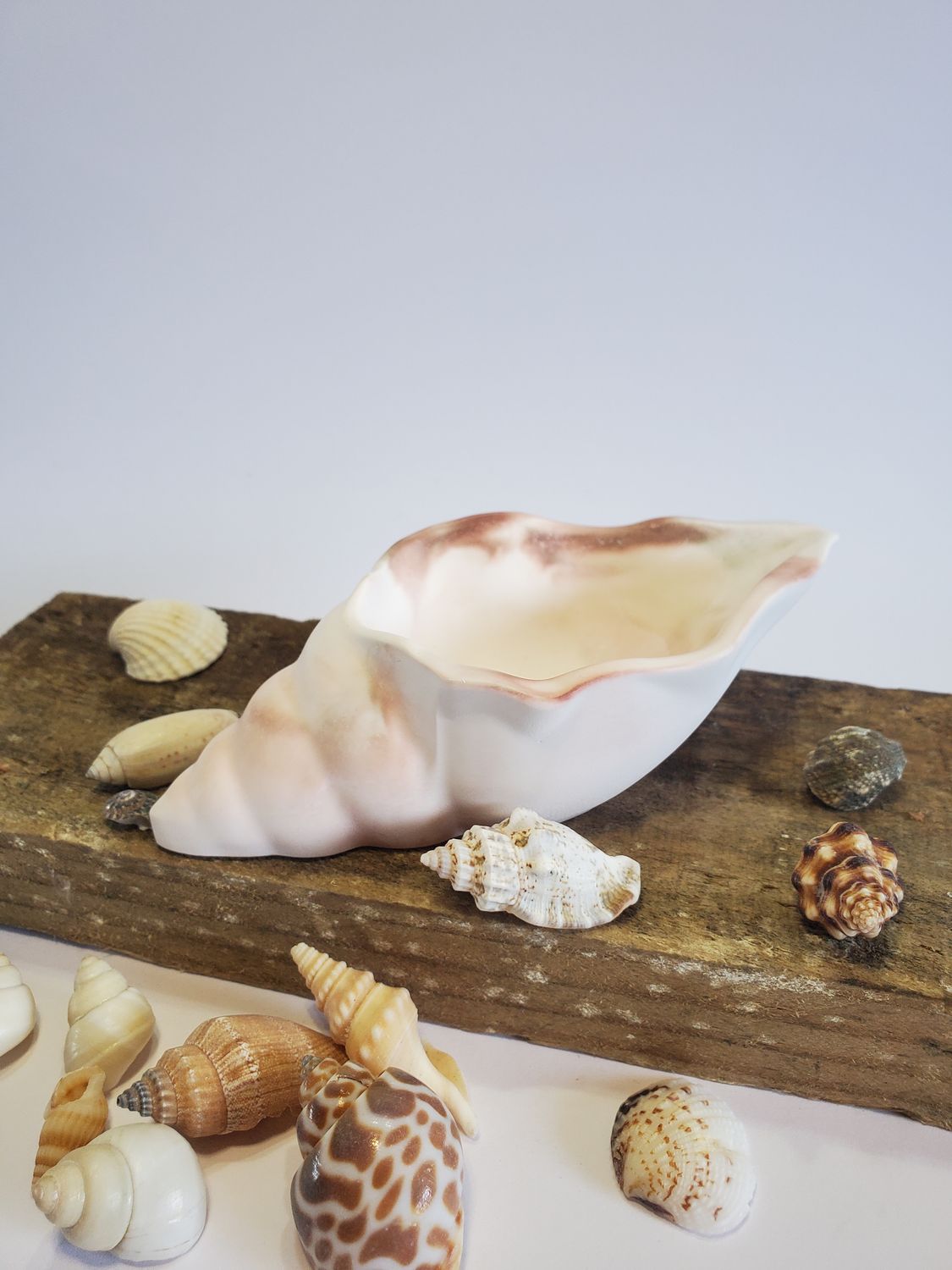 Shell,  Medium  - Brown wash