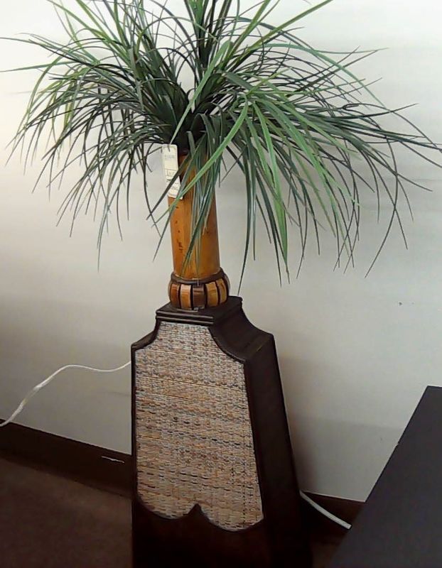 PLANT