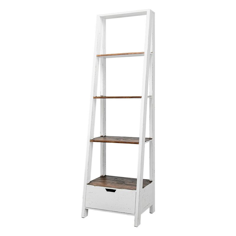 Ladder Bookcase