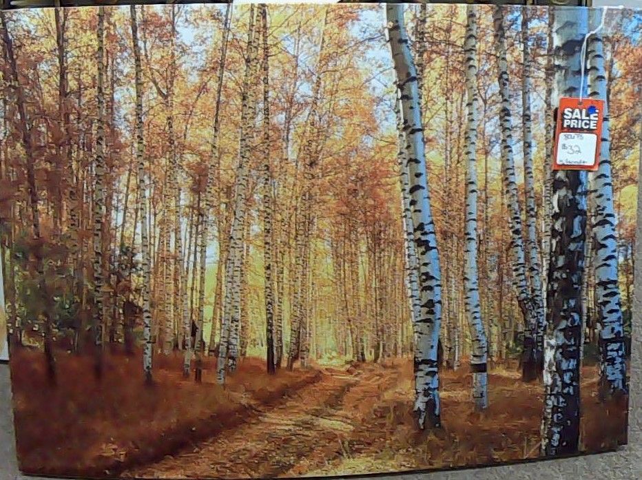 TREES ON CANVAS