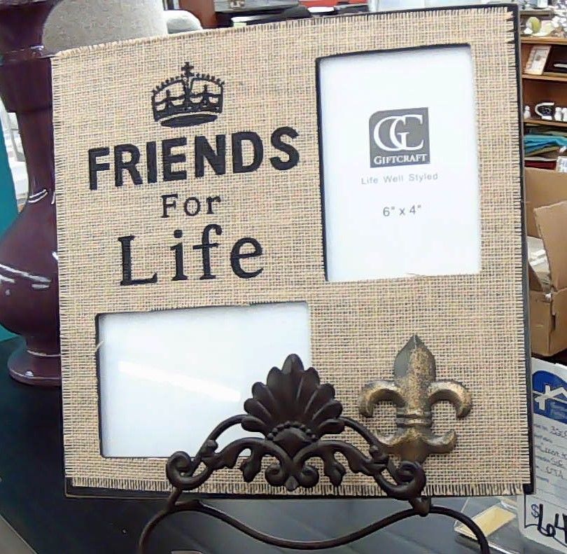 FRIENDS FOR LIFE PICTURE FRAME