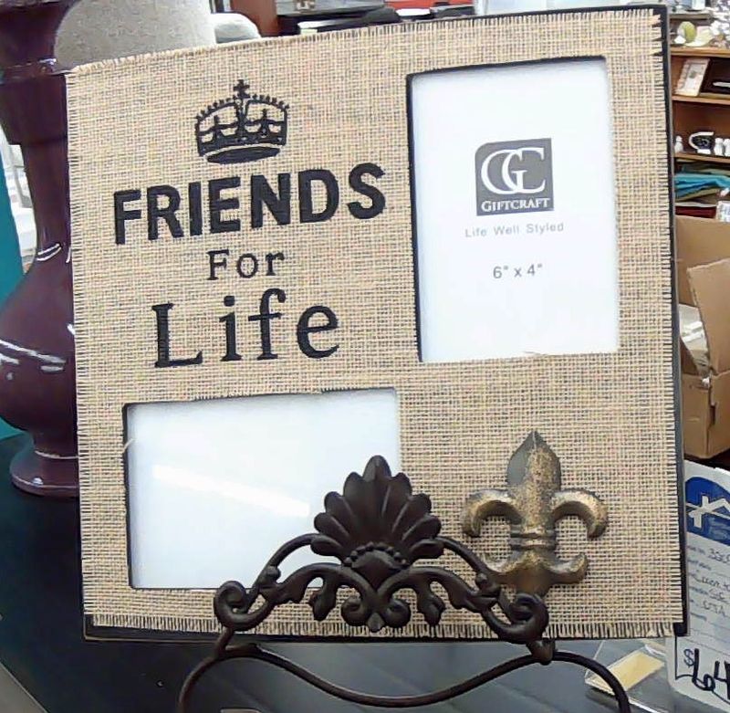 FRIENDS FOR LIFE PICTURE FRAME