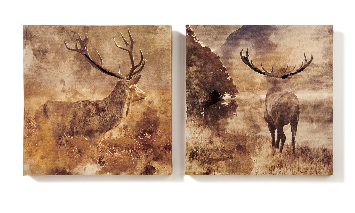 S/2 STAG ON CANVAS