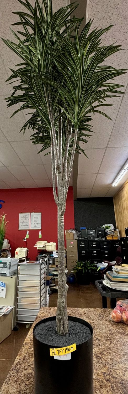 7' PALM TREE