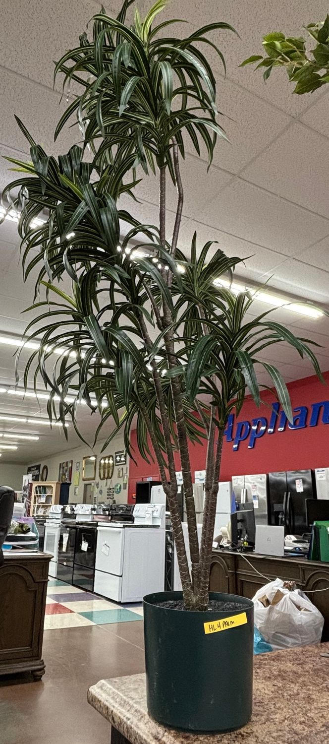 4' PALM TREE