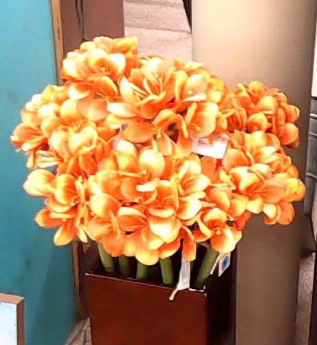 ORANGE STEM FLOWERS
