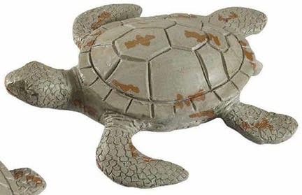 SEA TURTLE