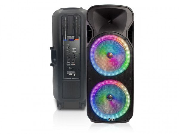 PORTABLE DOUBLE 15 INCH SPEAKER