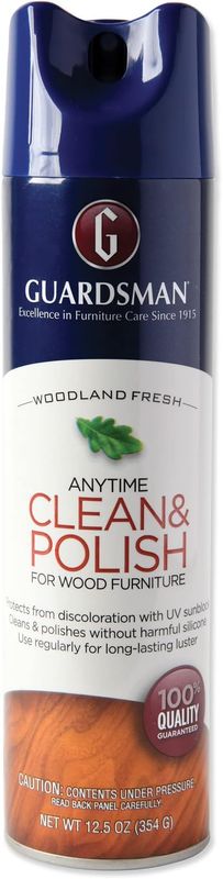 ANY TIME CLEAN & POLISH