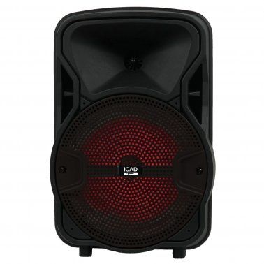 SPEAKER