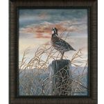 QUAIL ON A POST PICTURE