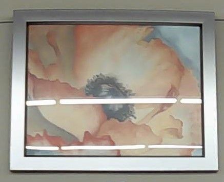 WATER COLOR POPPY II PICTURE