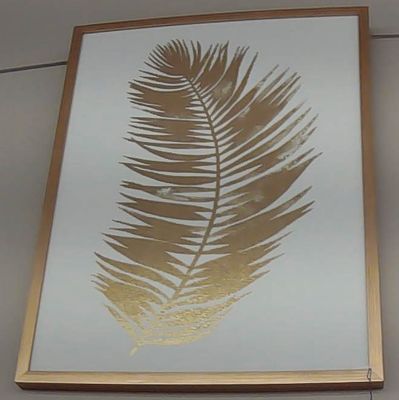 UNTETHERED PALM PICTURE
