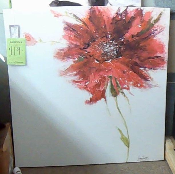 PINK DAISY PICTURE