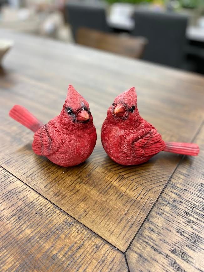 Cardinal Decor