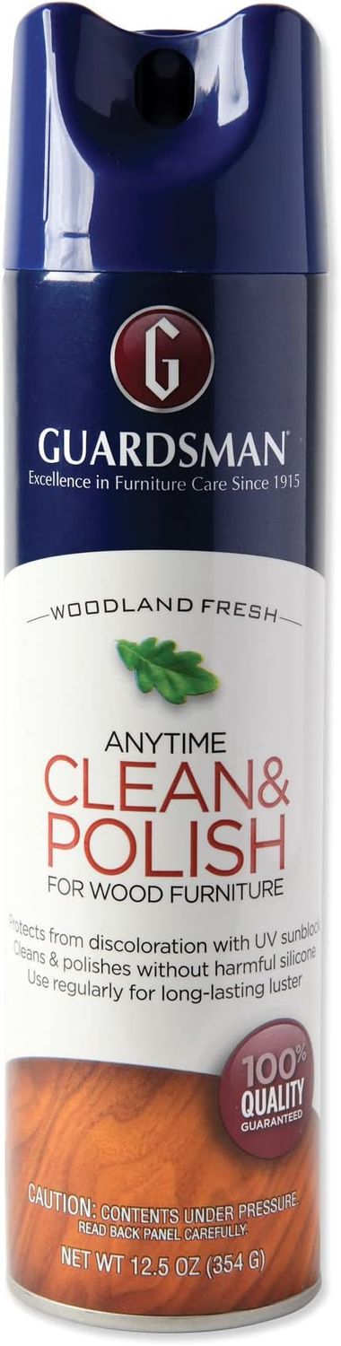 ANY TIME CLEAN & POLISH 460100