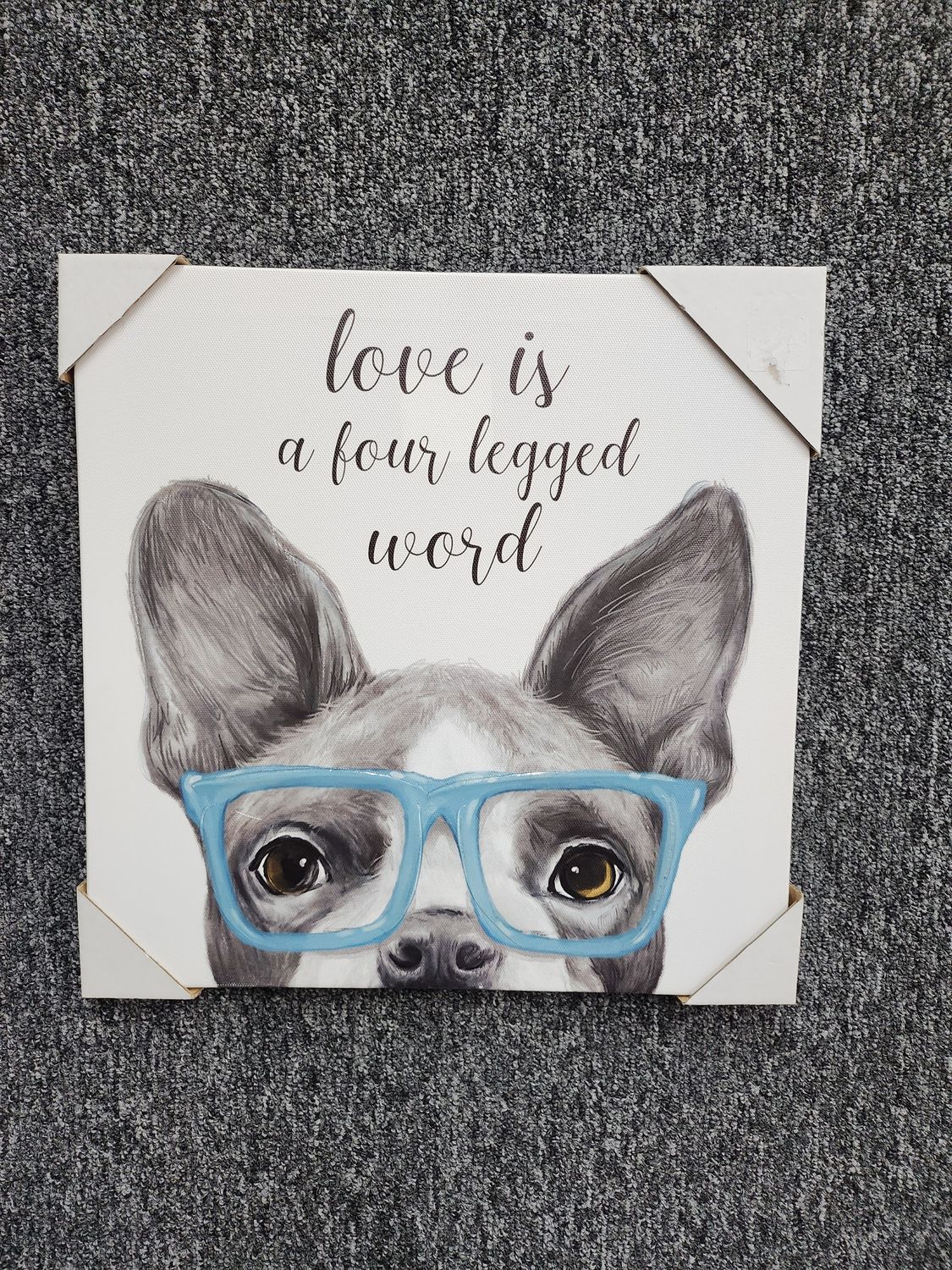 LOVE IS FOUR LEGGED WORD , DOG WITH BLUE GLASSES