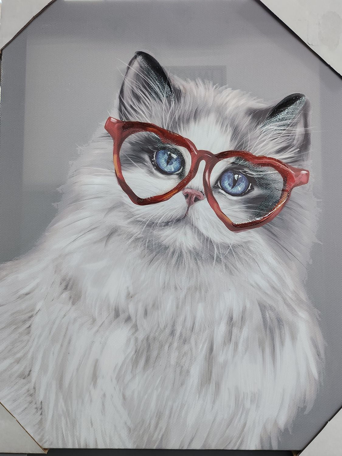 CAT WITH HEART GLASSES