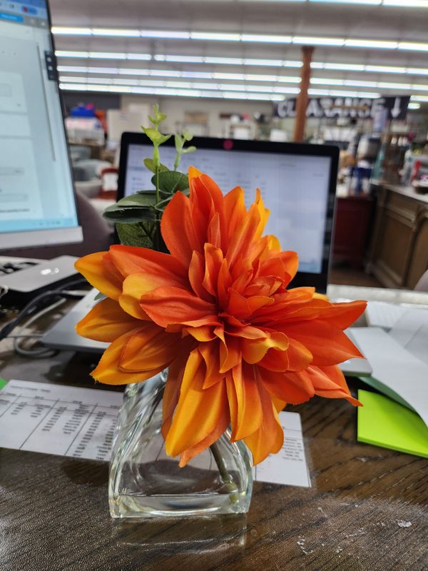 ORANGE FLOWER IN VASE