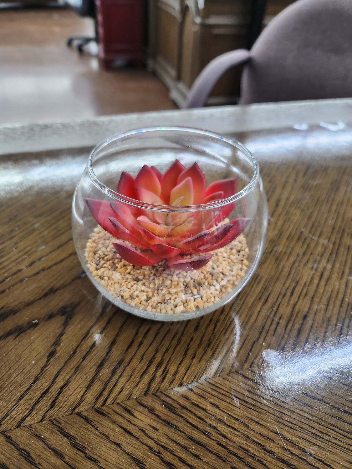 RED SUCCULENT IN GLASS