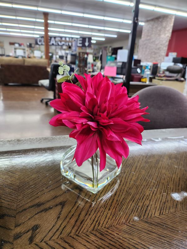 PINK FLOWER IN VASE
