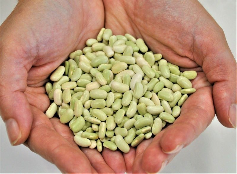 A granel faba verdina de Asturias