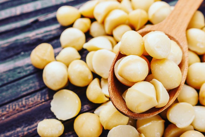 Macadamia Orchard Blog