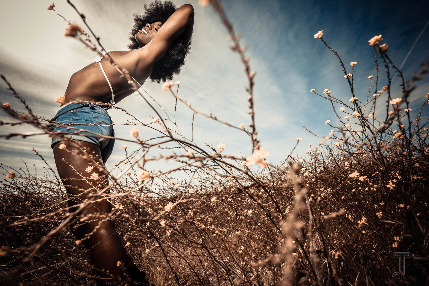 Ana field - Acrylic Mounted Print