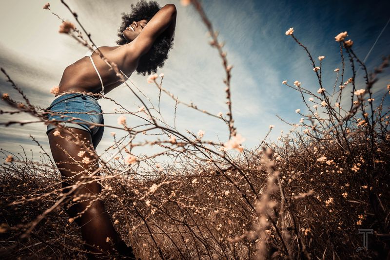 Ana field - Acrylic Mounted Print