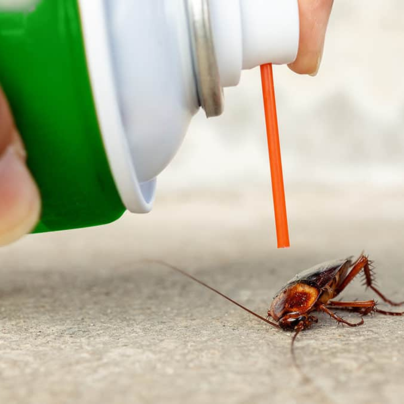 Pest Control Light-Level. Includes Pest Control Supplies & Up to 0.15 Labor Hours