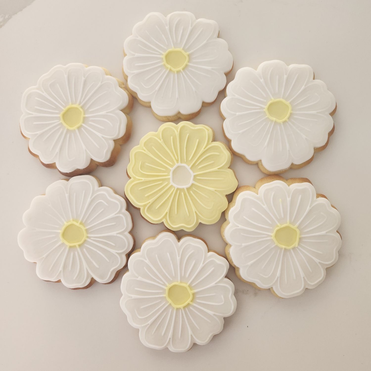 Large Daisy cookie