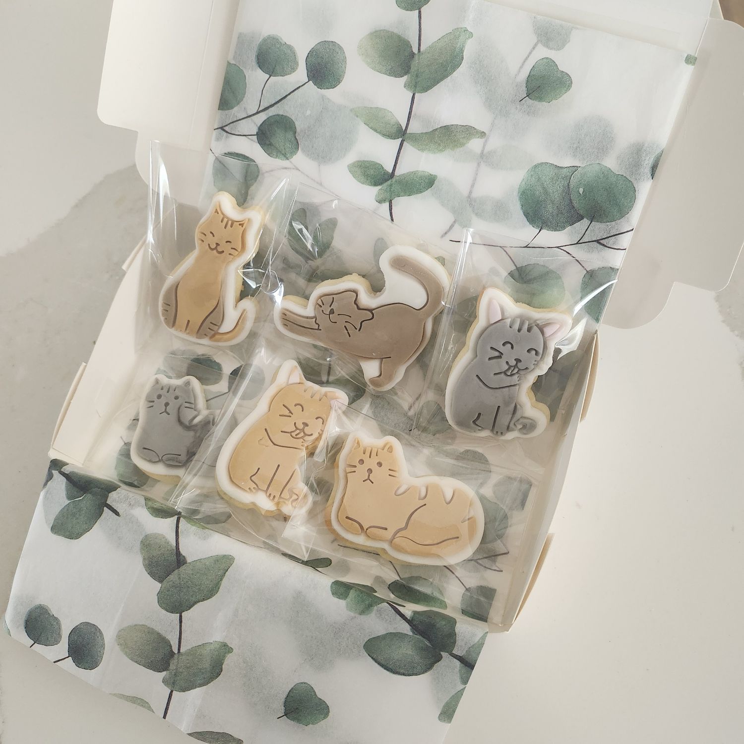 Cat lovers gift box