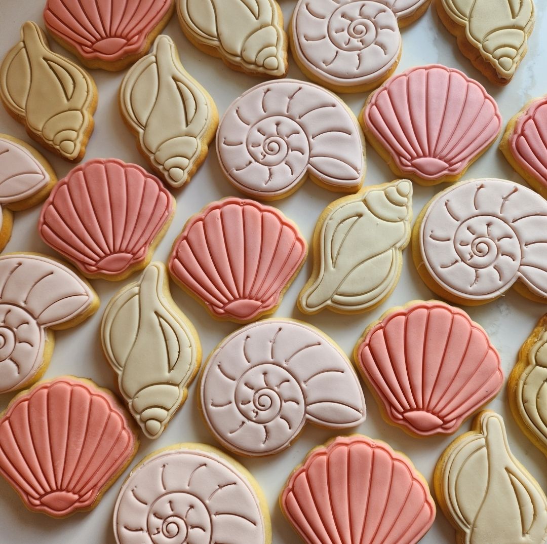 Seashell cookie set - 3 pack