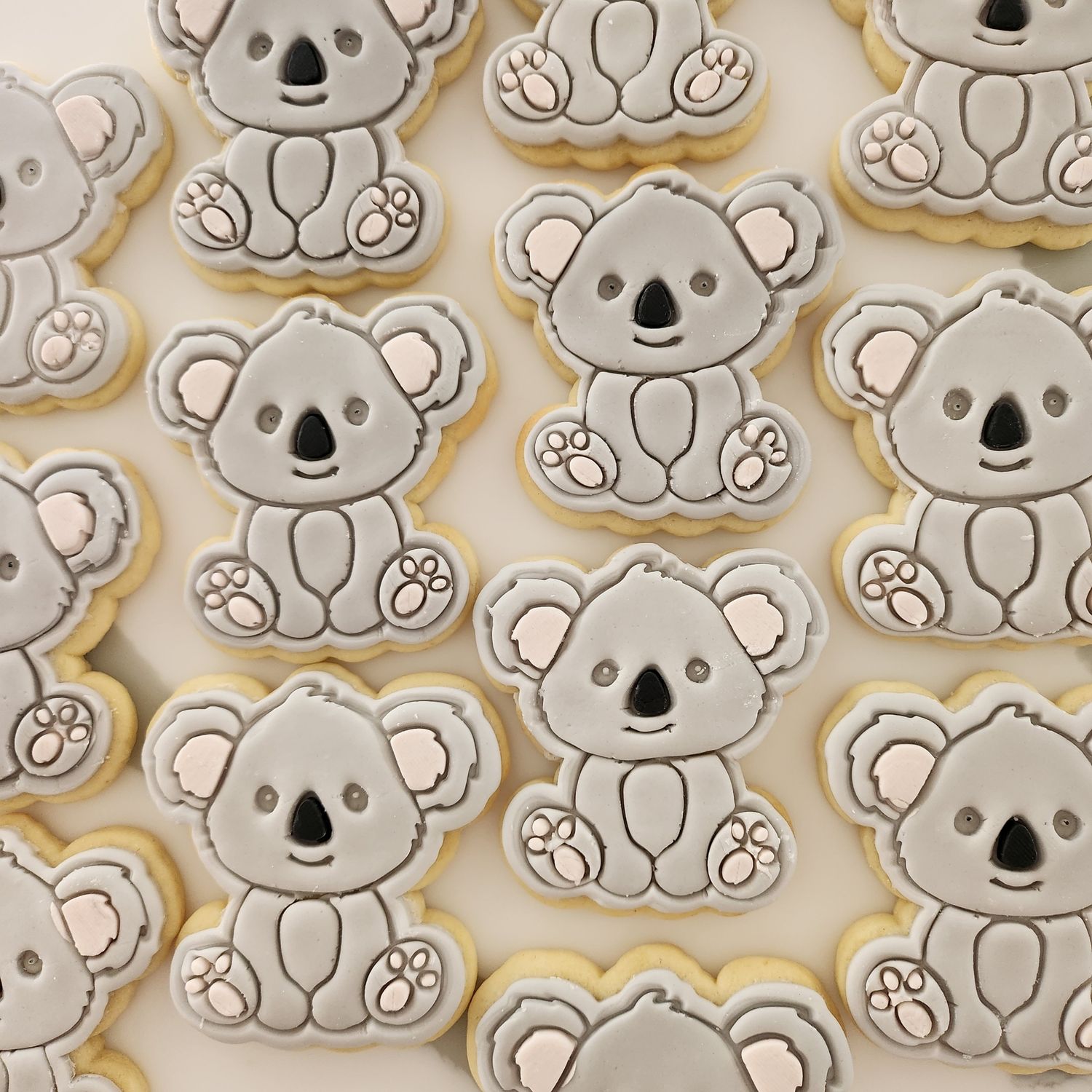 Koala cookie