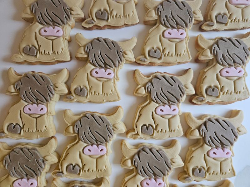 Highland Cow cookie