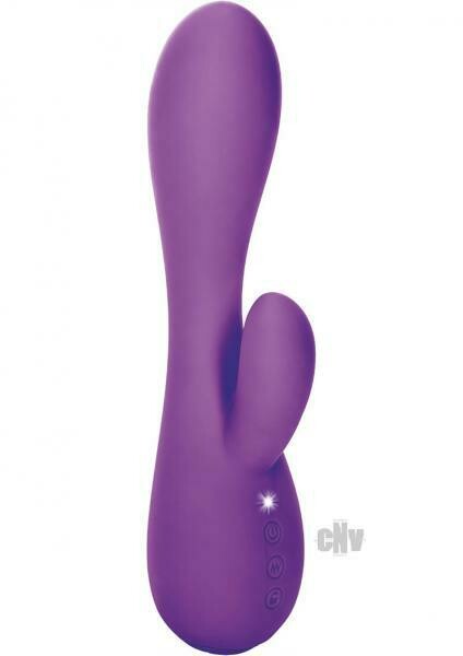 Impress USB Petite Dove Purple Vibrator